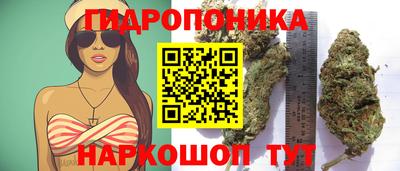 крисы Ирбит