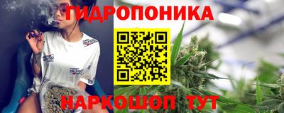 крисы Ирбит
