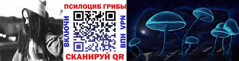 Псилоцибиновые грибы мицелий blacksprut вход Буйнакск