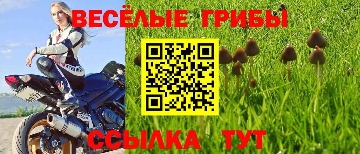 Псилоцибиновые грибы Magic Shrooms  Галлюциногенные грибы мухоморы  Буйнакск 