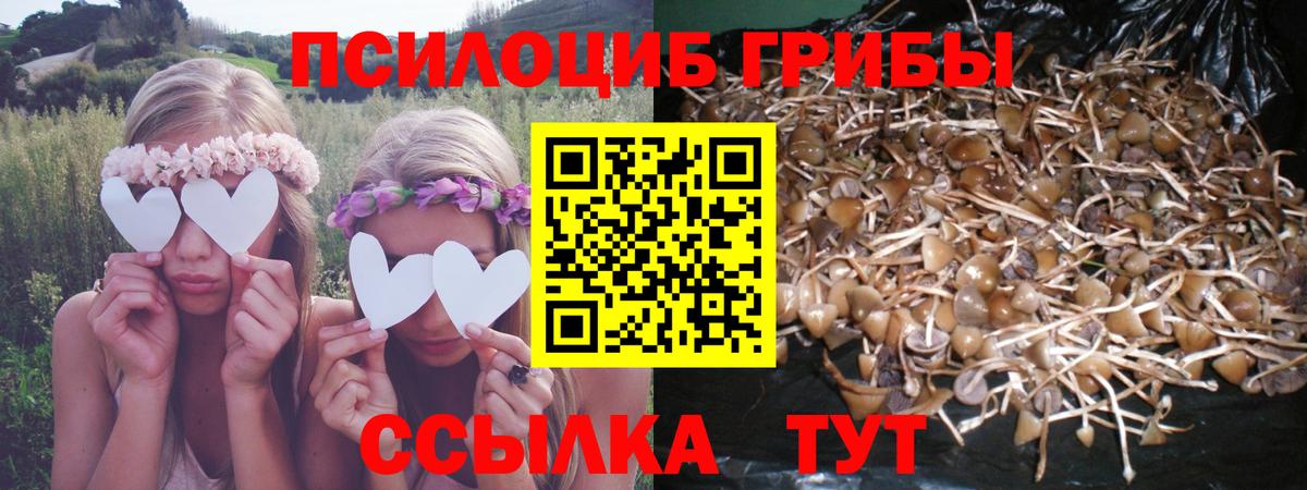 Псилоцибиновые грибы Magic Shrooms Буйнакск