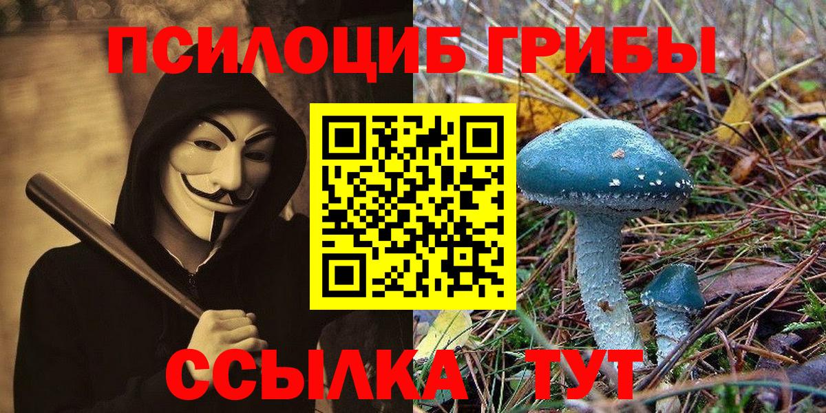 Галлюциногенные грибы мухоморы Буйнакск